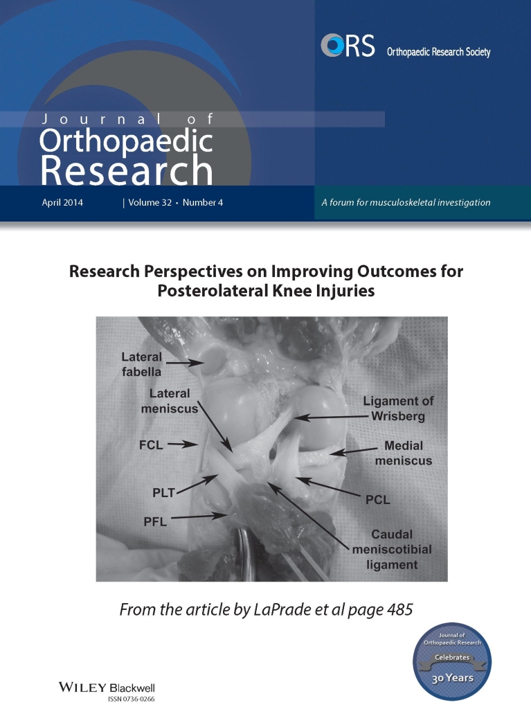 The Journal of Orthopaedic Research Features Dr. LaPrade's Study